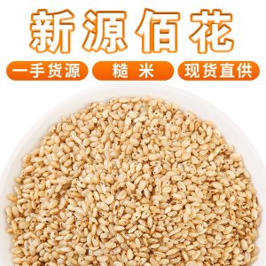 Brown Rice (Oryza sativa) — Northeast New-Crop Whole Grain for Rice Tea & Congee