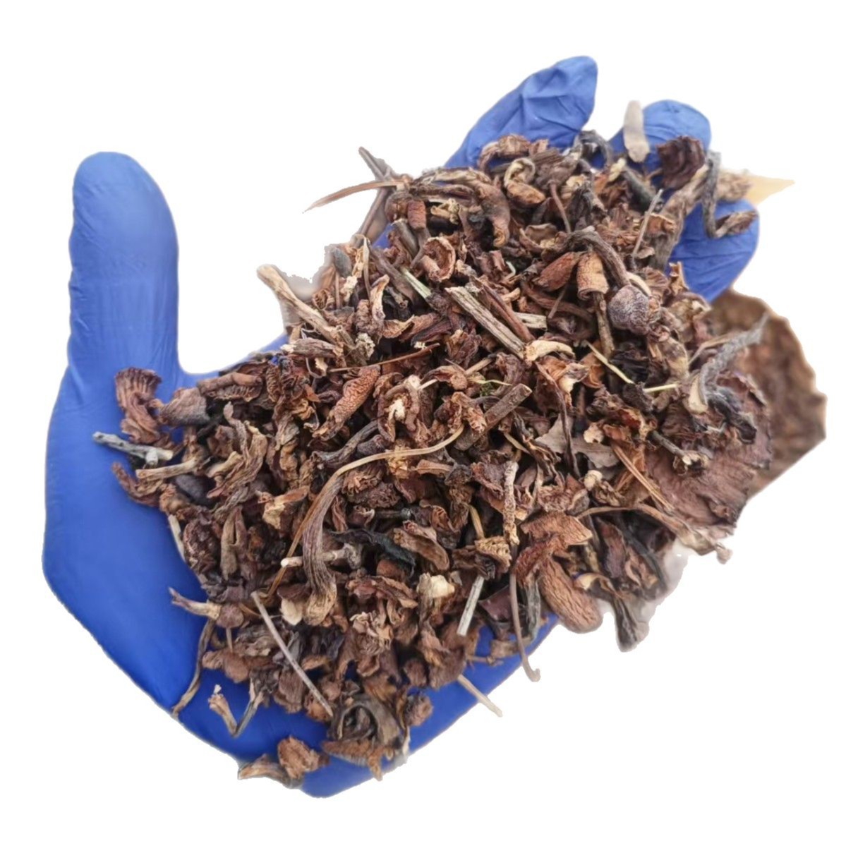 Dried Hazel Mushroom Pieces for Soup 500g Jilin Origin Umami Broth Ingredient - Image 5