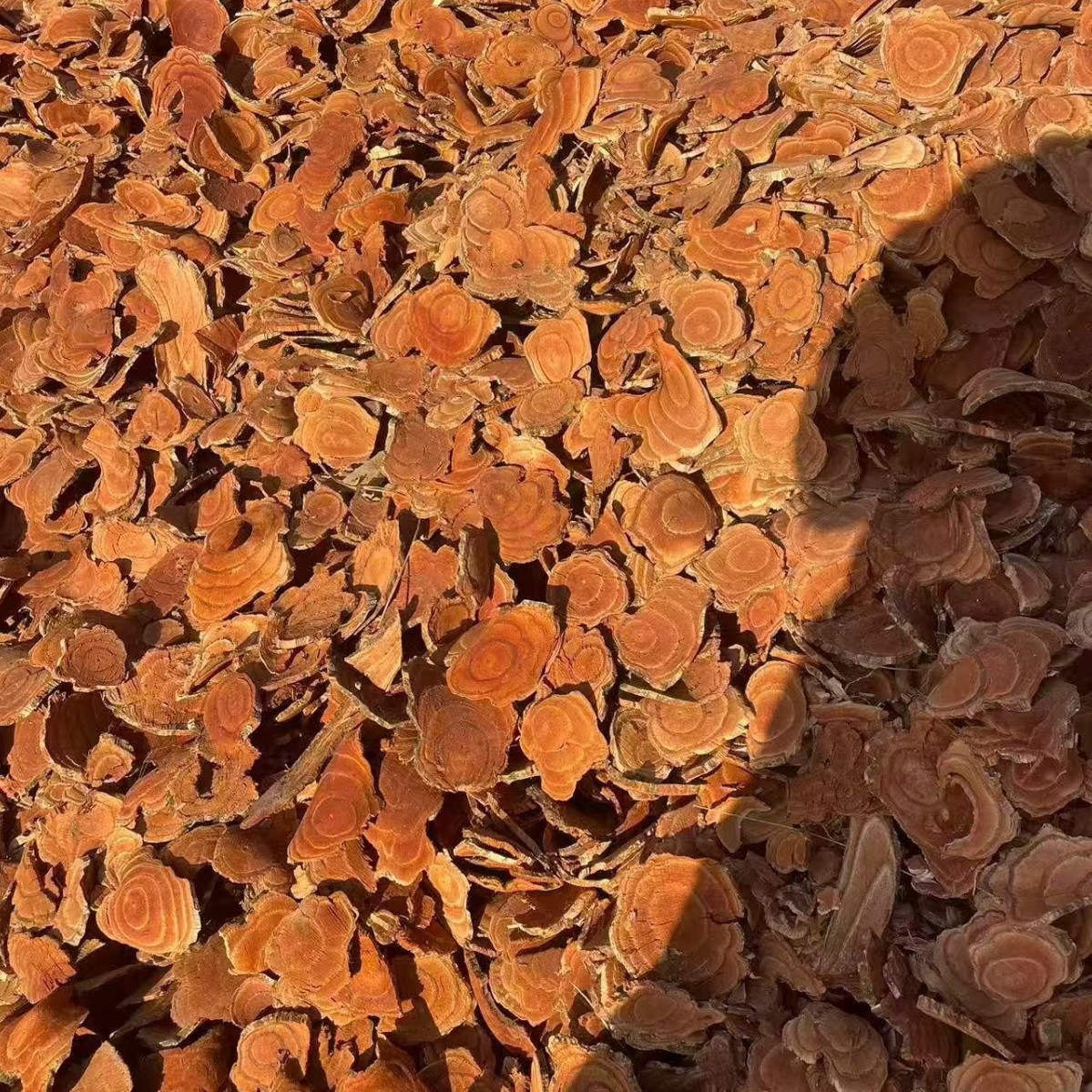 Ji Xue Teng Dried Spatholobus Suberectus Vine Slices Chinese Herb for Decoction Soup and Wine Soaking - Image 4