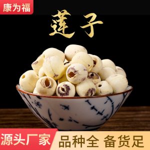 Lotus Seed (Nelumbo nucifera) — Dried Food Herb, Jian Lian Zi & Shi Lian Zi, 500g