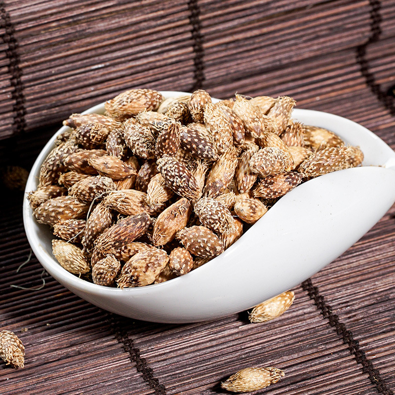 Cang Er Zi (Xanthium sibiricum) — Stir-Fried De-Spined Cocklebur Fruit, Dried Herb 500g - Image 4