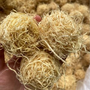 Zhu Ru (Bambusa tuldoides) — Dried Bamboo Shaving Balls, Food Herb for Tea & Soup