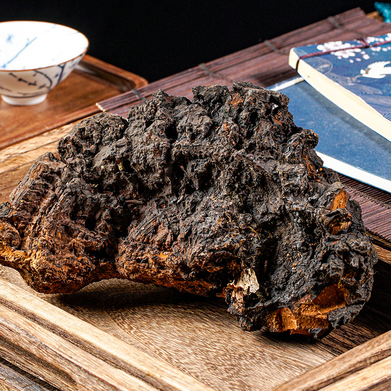 Chaga Mushroom Powder (Inonotus obliquus) — Wild Northeast Birch Chaga, 500g - Image 2