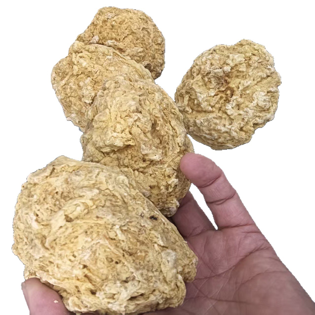 Sheep Placenta Powder 500g Yang Tai Pan Dried Traditional TCM Herbal Supplement - Image 5