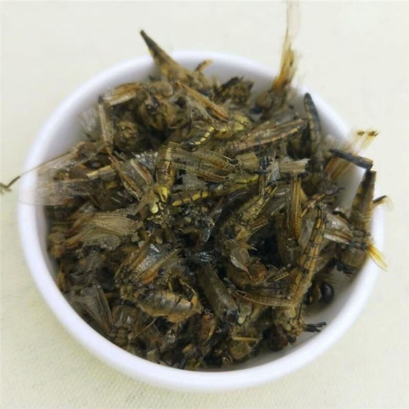 Dragonfly (Anisoptera) Dried Edible Insect — 500g Food-Grade Whole Dragonflies - Image 2