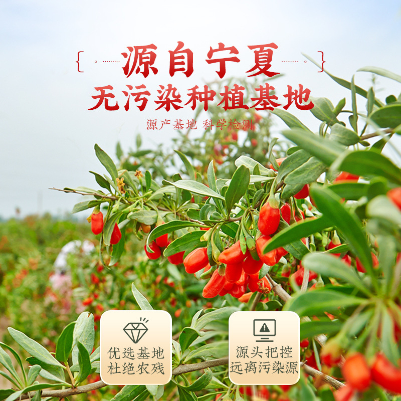 Ningxia Premium Goji Berries Gou Qi Zi Dried Wolfberry for Tea and Wine Soaking 500g - Image 2
