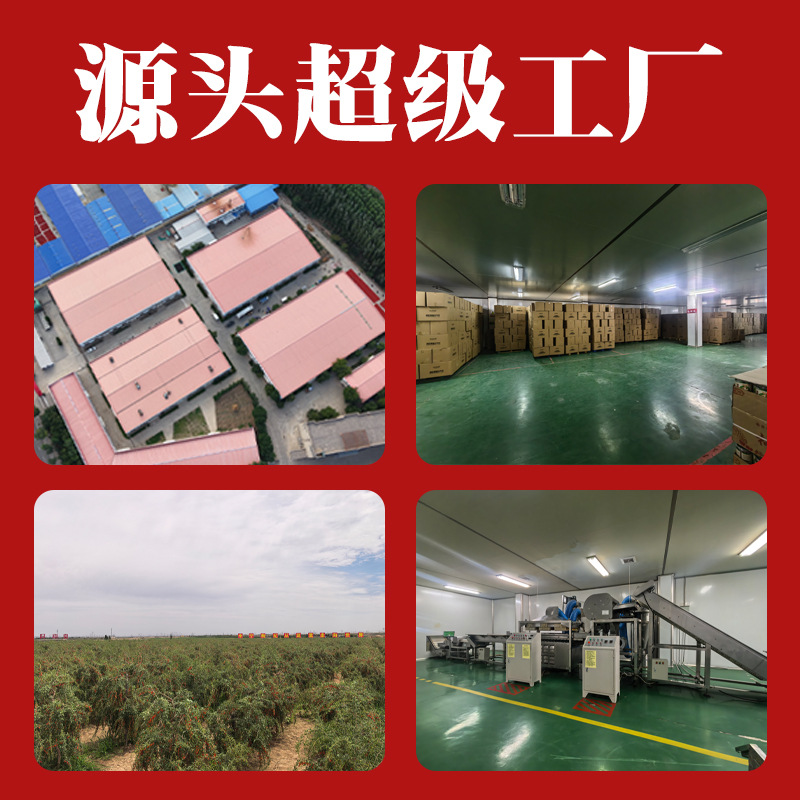 Dried Goji Berries Gou Qi Zi 1 Jin Ningxia Premium Grade Ready to Eat - Image 2