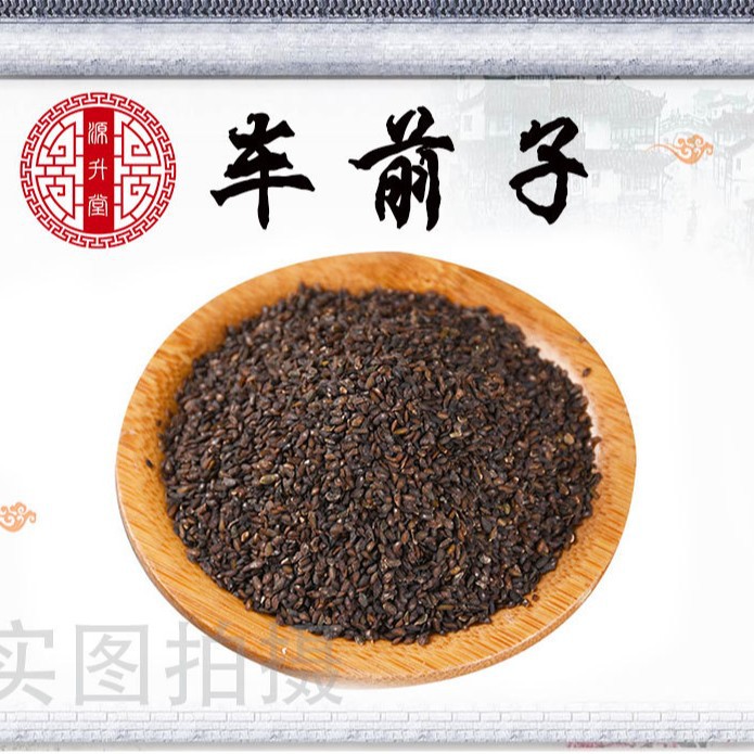 Che Qian Zi (Plantago asiatica Seed) — Dried Food-Herb Plantain Seed, Raw Botanicals - Image 2