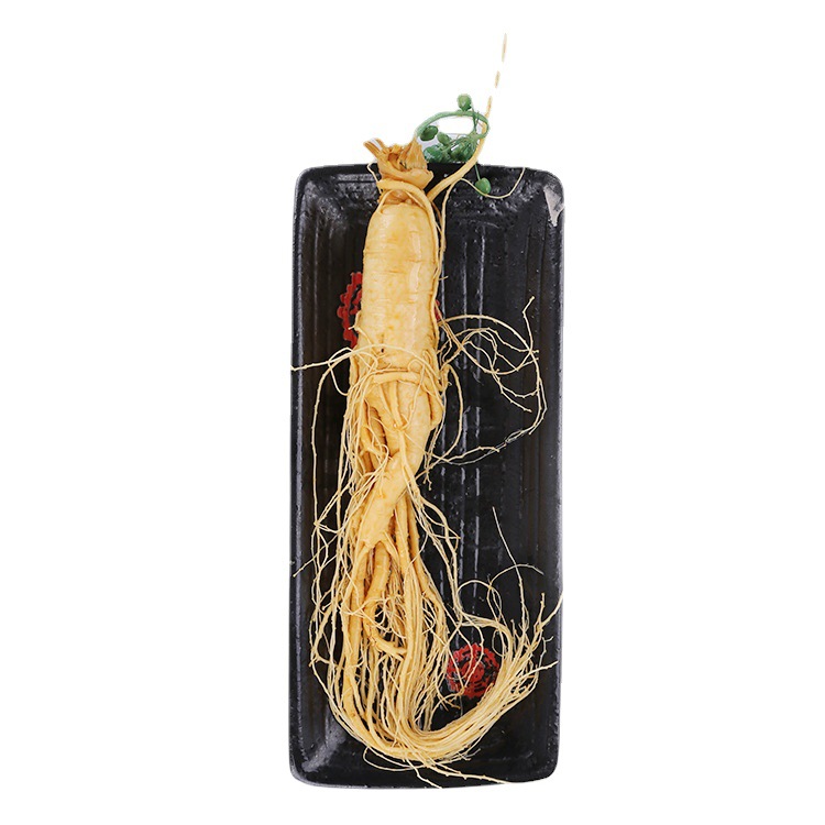 Changbai Mountain Fresh Ginseng (Panax ginseng) — Whole Roots for Wine & Soup - Image 5