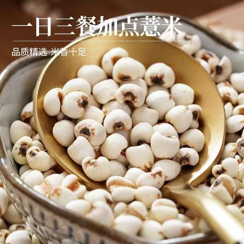 Stir-Fried Coix Seed Yi Yi Ren 500g Roasted Job's Tears for Tea Soup and Congee - Image 4