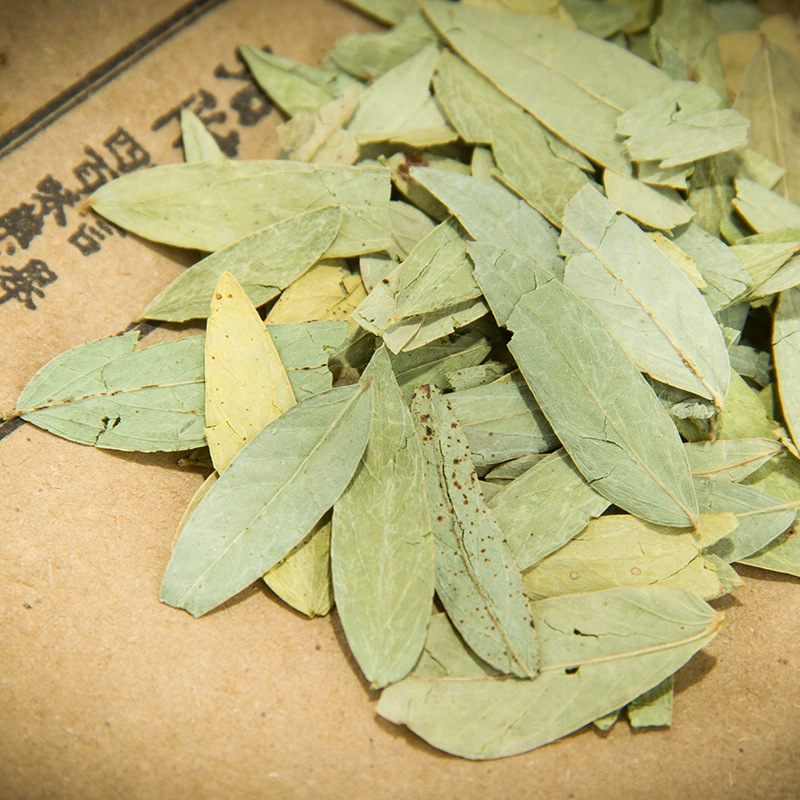 Senna Leaf 500g Fan Xie Ye Dried Herbal Tea Leaves Natural Sun Dried Guangxi Origin - Image 2