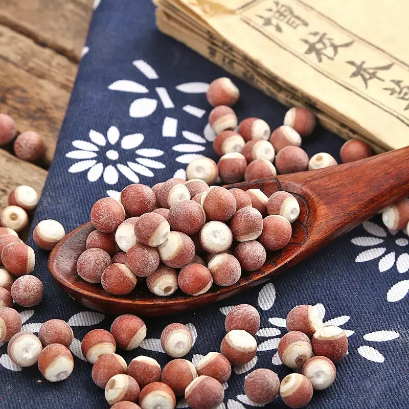 Dried Gorgon Fruit Seeds Qian Shi 500g Euryale Ferox Seeds for Soup Congee and Herbal Decoction - Image 2