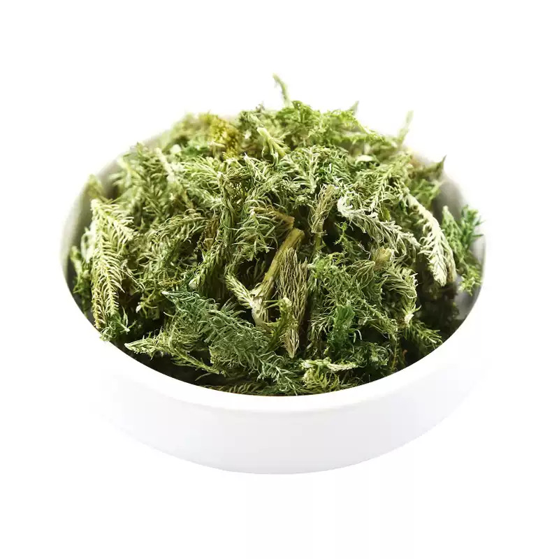 Dried Shen Jin Cao 伸筋草 Lycopodium Herb 500g Natural Sun Dried Sichuan Origin for Decoction and Foot Soak - Image 5