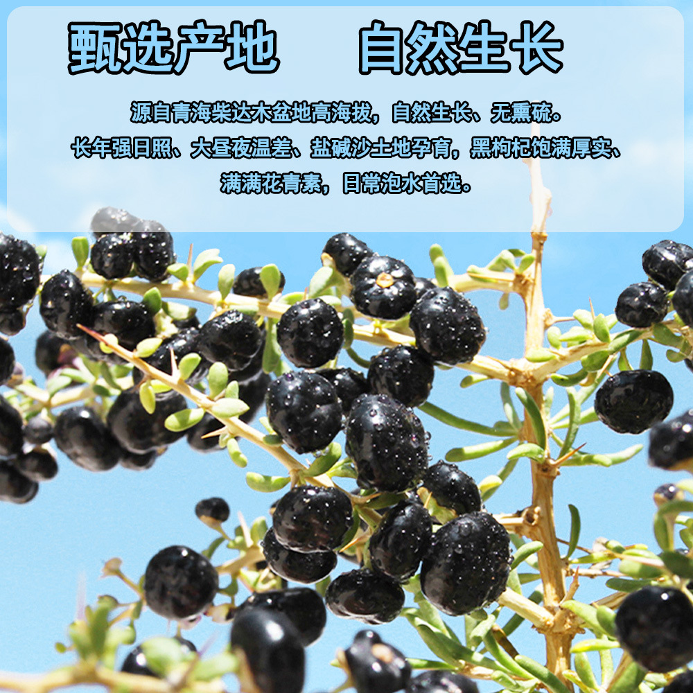 Dried Black Goji Berries from Qinghai 120g Jar Hand Packed Grade A Sun Dried Wolfberry - Image 3