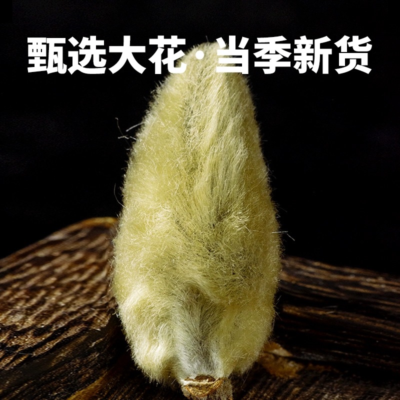 Xin Yi Magnolia Flower Buds Dried Herbs for Tea and Decoction 500g Henan Origin - Image 2