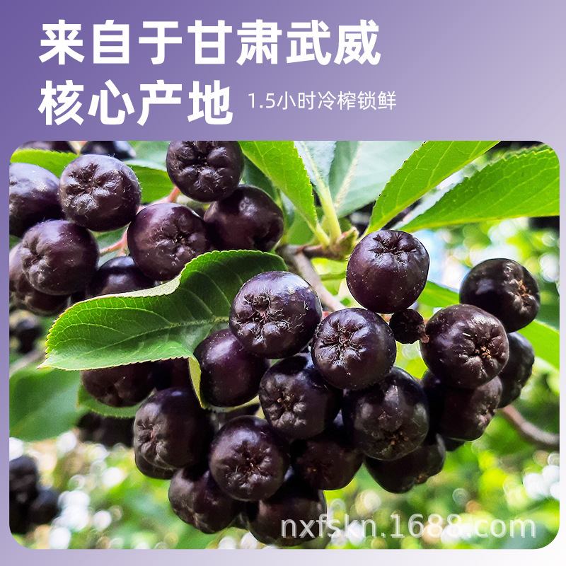 Aronia Berry NFC Pure Juice 500ml 100 Percent Concentrate No Additives - Image 3