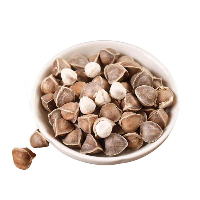 Moringa Seeds La Mu Zi Large Grade Dried Seeds 500g Bulk Pack - Image 5