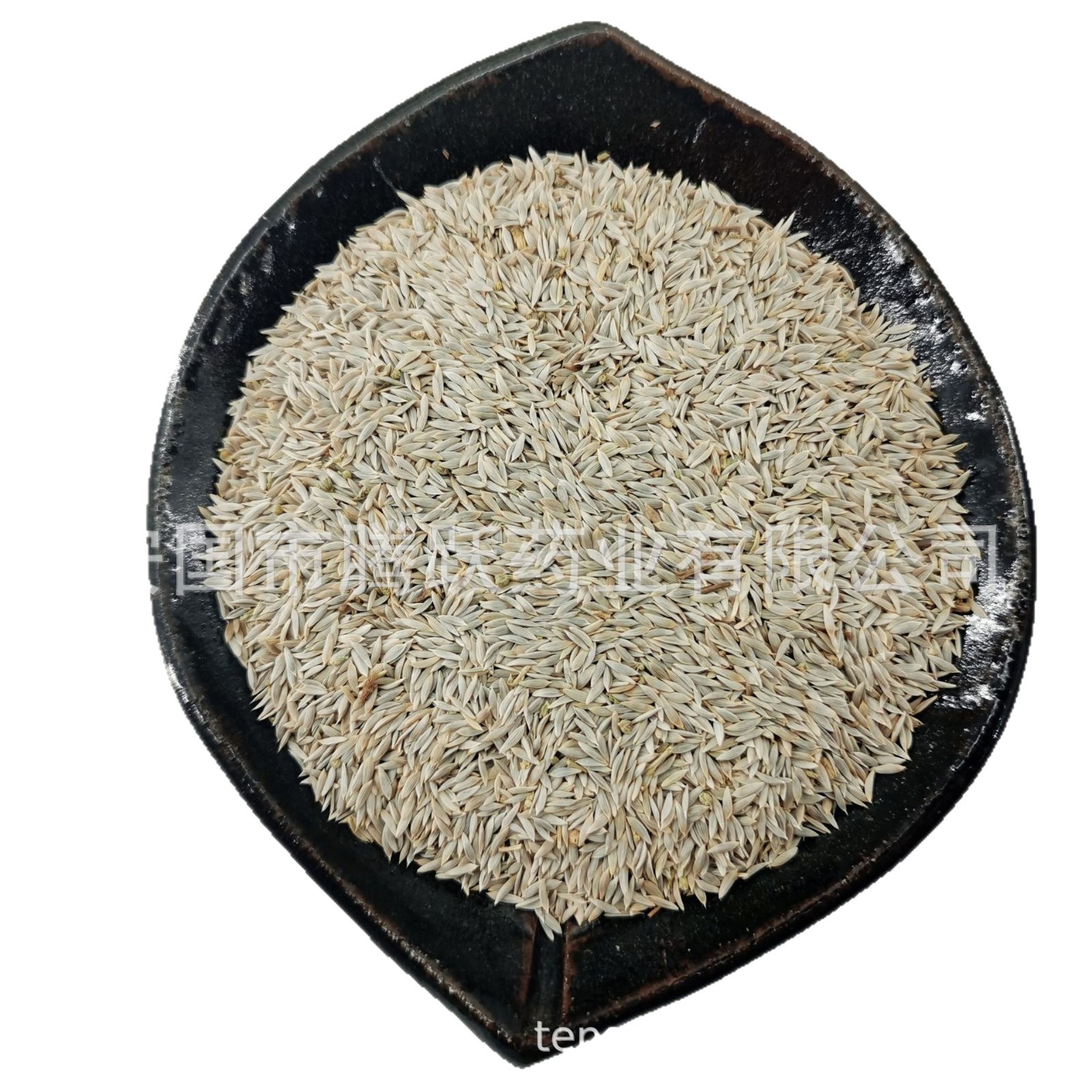 White Lettuce Seed Bai Sheng Cai Zi Raw Herb 1kg Bag Dried Seeds for Decoction and Tea - Image 5