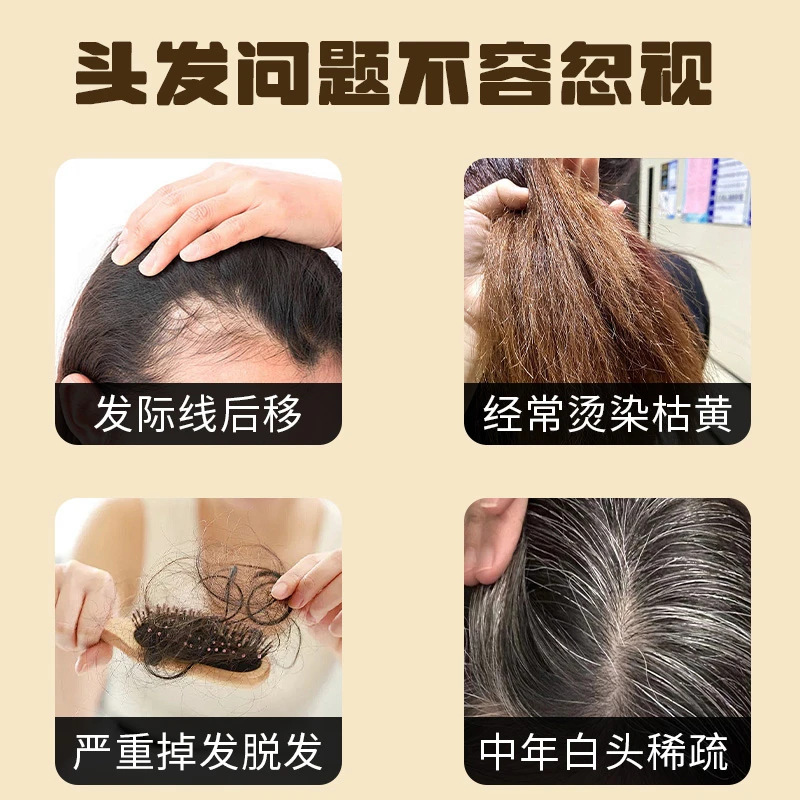 Black Sesame Walnut Black Bean Powder 500g Instant Cereal Drink Sugar Free Breakfast Meal Replacement - Image 3