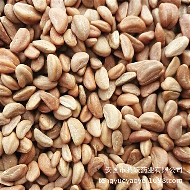 Dried Hawthorn Seeds Shan Zha Zi Bulk Herbal Filling Material for Cushions and Pillows - Image 3