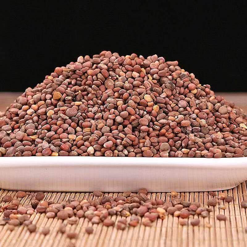 Lai Fu Zi (Raphanus sativus Seed) — Dried Radish Seed for Tea & Decoction - Image 2