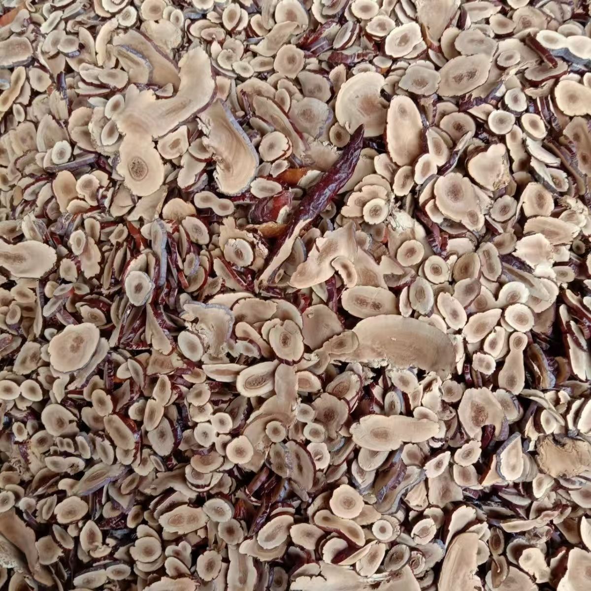 Deer Antler Lingzhi Whole Dried Reishi Mushroom Ganoderma lucidum 500g Changbai Mountain Herb - Image 3