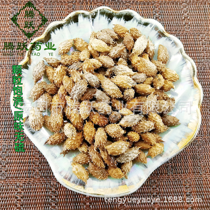 Cang Er Zi Dried Xanthium Fruit Whole Form Traditional Chinese Herb 500g Bag - Image 2