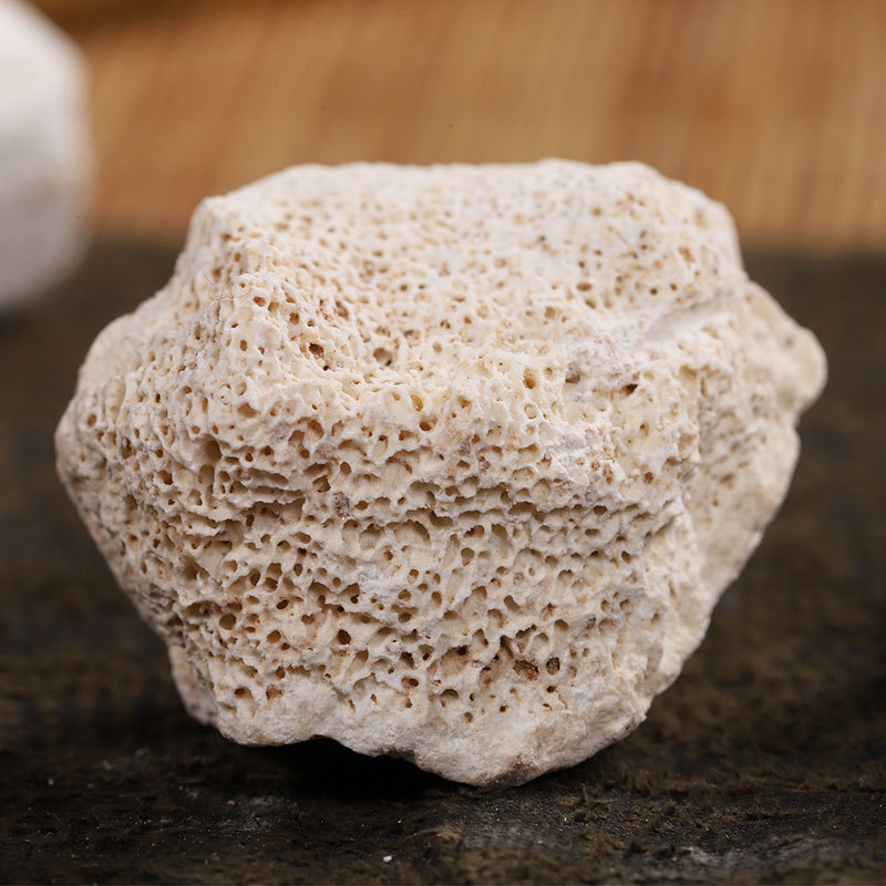 Long Gu (Fossilized Bone) — Washed Wu Hua Dragon Bone & Long Chi Herbal Pieces - Image 3