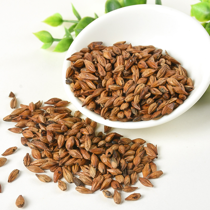Roasted Barley Tea (Hordeum vulgare) — Bulk Loose Grain Herbal Tea, 500g - Image 4