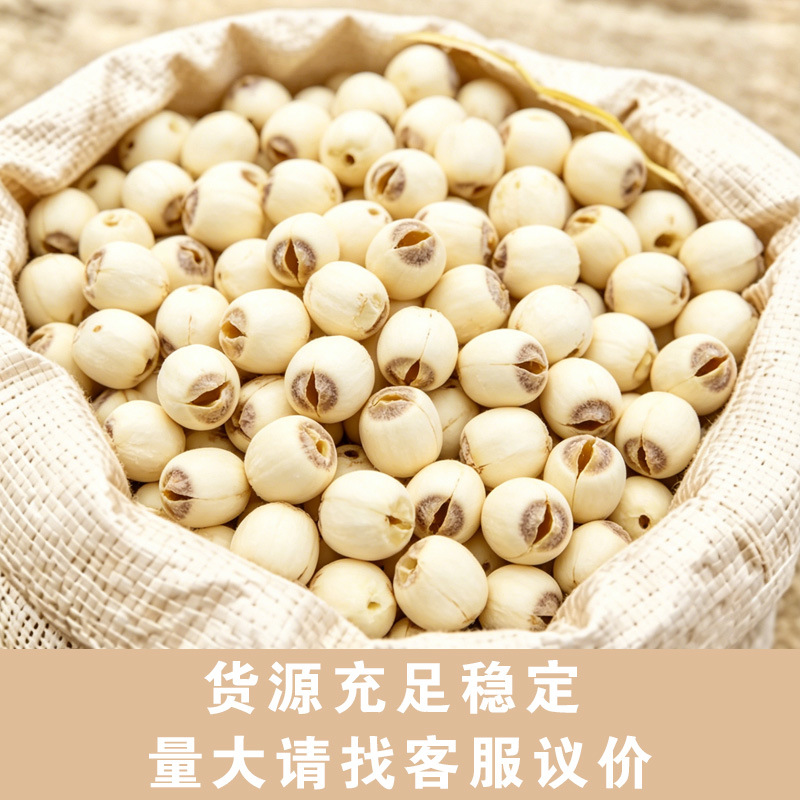 Lotus Seed (Nelumbo nucifera) — Hunan White Lotus Seeds, Core-Removed, Sulfur-Free, 500g - Image 2