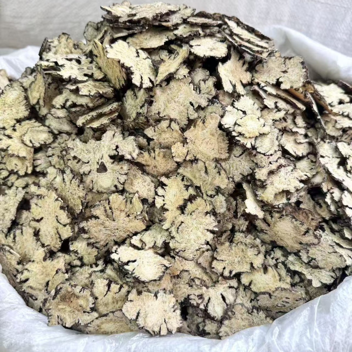 Chuan Xiong Sichuan Lovage Rhizome Slices Dried Herb for Decoction and Tea 500g - Image 2
