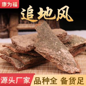 Zhui Di Feng (Illicium difengpi) — Dried TCM Herb for Wind-Damp Support & Custom Grinding