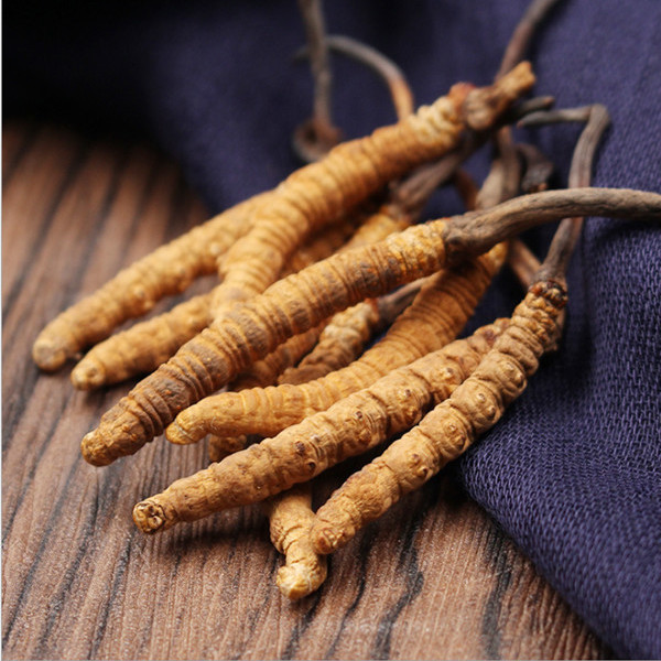 Dried Cordyceps Sinensis Dong Chong Xia Cao Whole Caterpillar Fungus Tibetan Nagqu Wild-Harvested Tonic Herb for Cooking and Decoction - Image 3