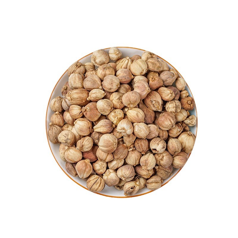 Cardamom & Nutmeg (Dou Kou / Rou Dou Kou) — Dried Aromatic Spice Herbs, 500g - Image 5