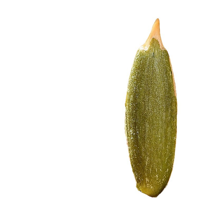 Xinjiang Beauty Melon Pumpkin Seeds Original Flavor Large Long Grain Hand Shelled Snack 500g 3 Cans - Image 5