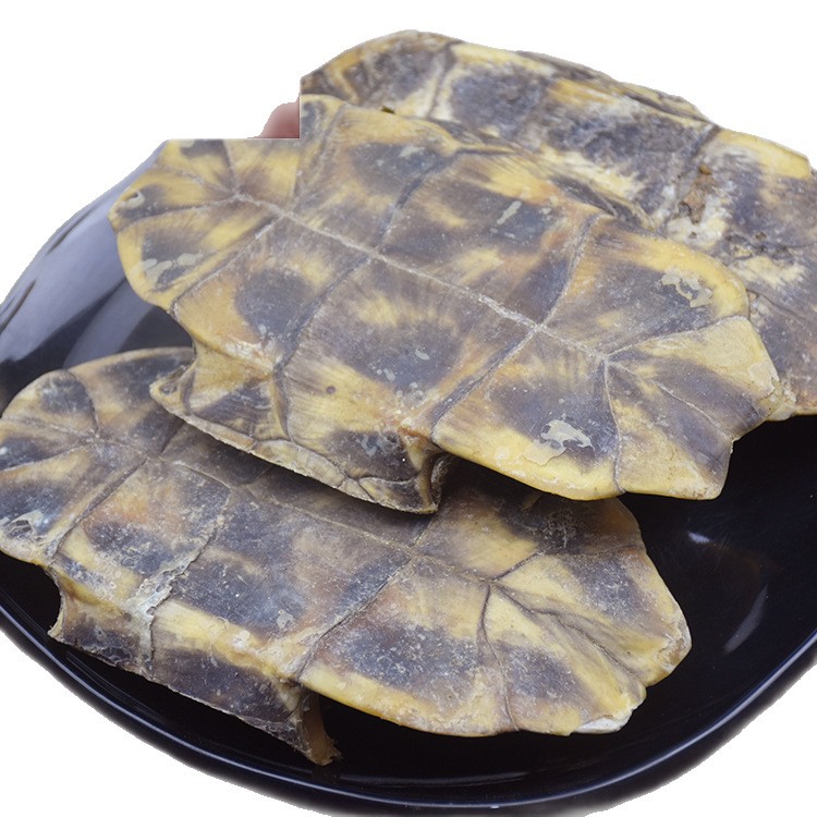 Gui Ban (Plastrum Testudinis) — Dried Turtle Shell Pieces, Whole 500g, Zhejiang Origin - Image 5