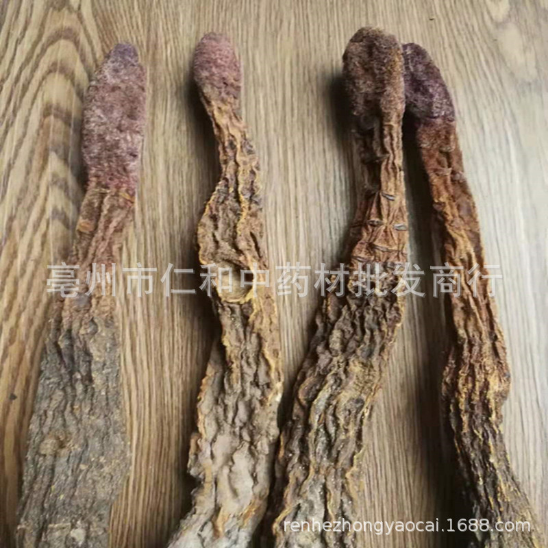 Dried Suo Yang Cynomorium Slices Whole Herb Tonic Herbal Tea and Decoction Ingredient - Image 2
