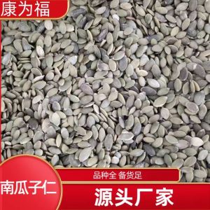 Pumpkin Seed Kernels (Cucurbita moschata) — Dried Food Herb, 500g