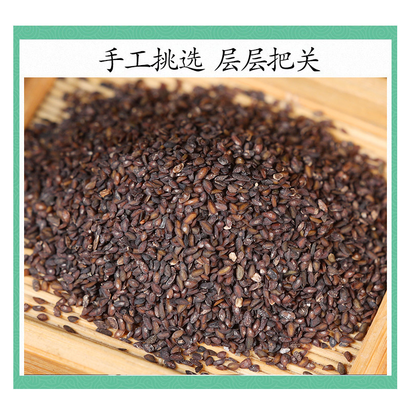 Wild Plantain Seed Che Qian Zi 500g Dried Seeds for Herbal Tea and Decoction - Image 3