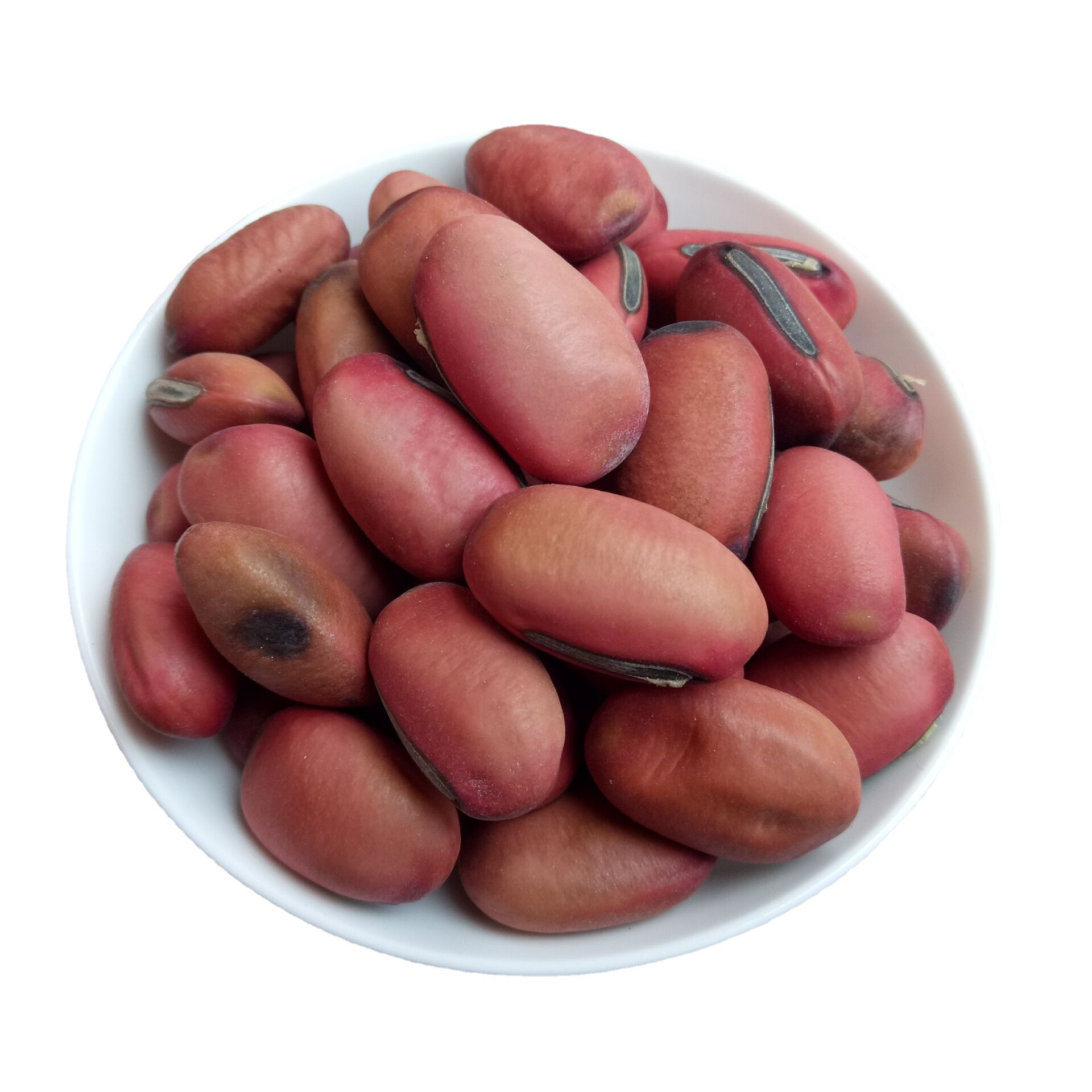 Dried Sword Bean Dao Dou Zi 500g Whole Seeds for Decoction and Craft Use - Image 5