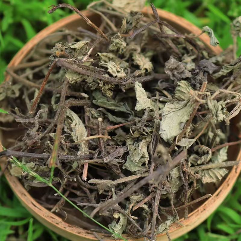 Liang Fen Cao (Mesona chinensis) — Dried Grass Jelly Herb, Xian Cao for Cooking & Tea - Image 2