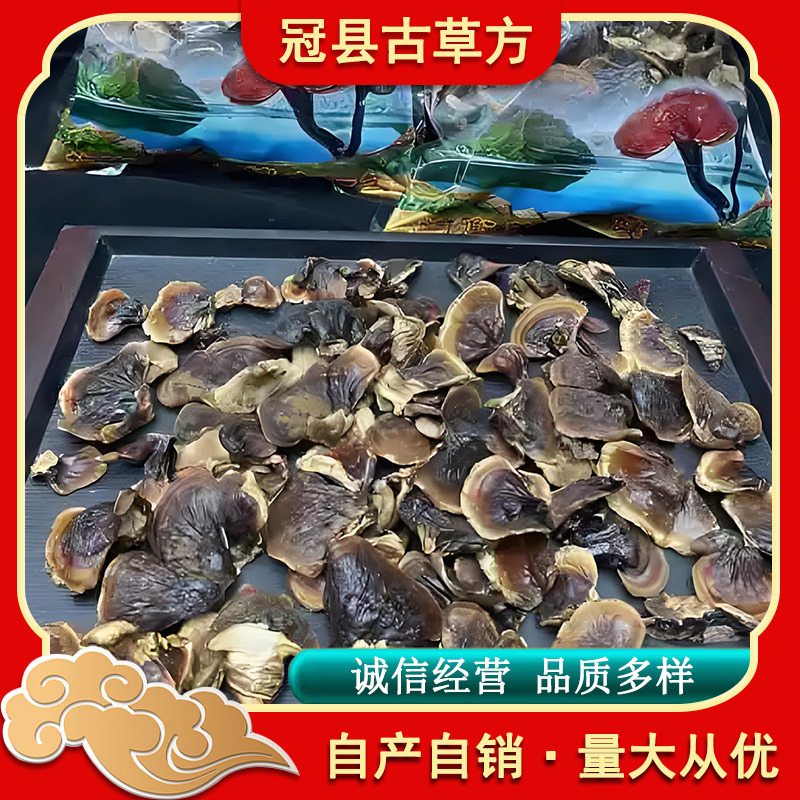 Small Gold-Banded Reishi Mushroom Dried Lingzhi Slices for Soup and Tea 500g - Image 4