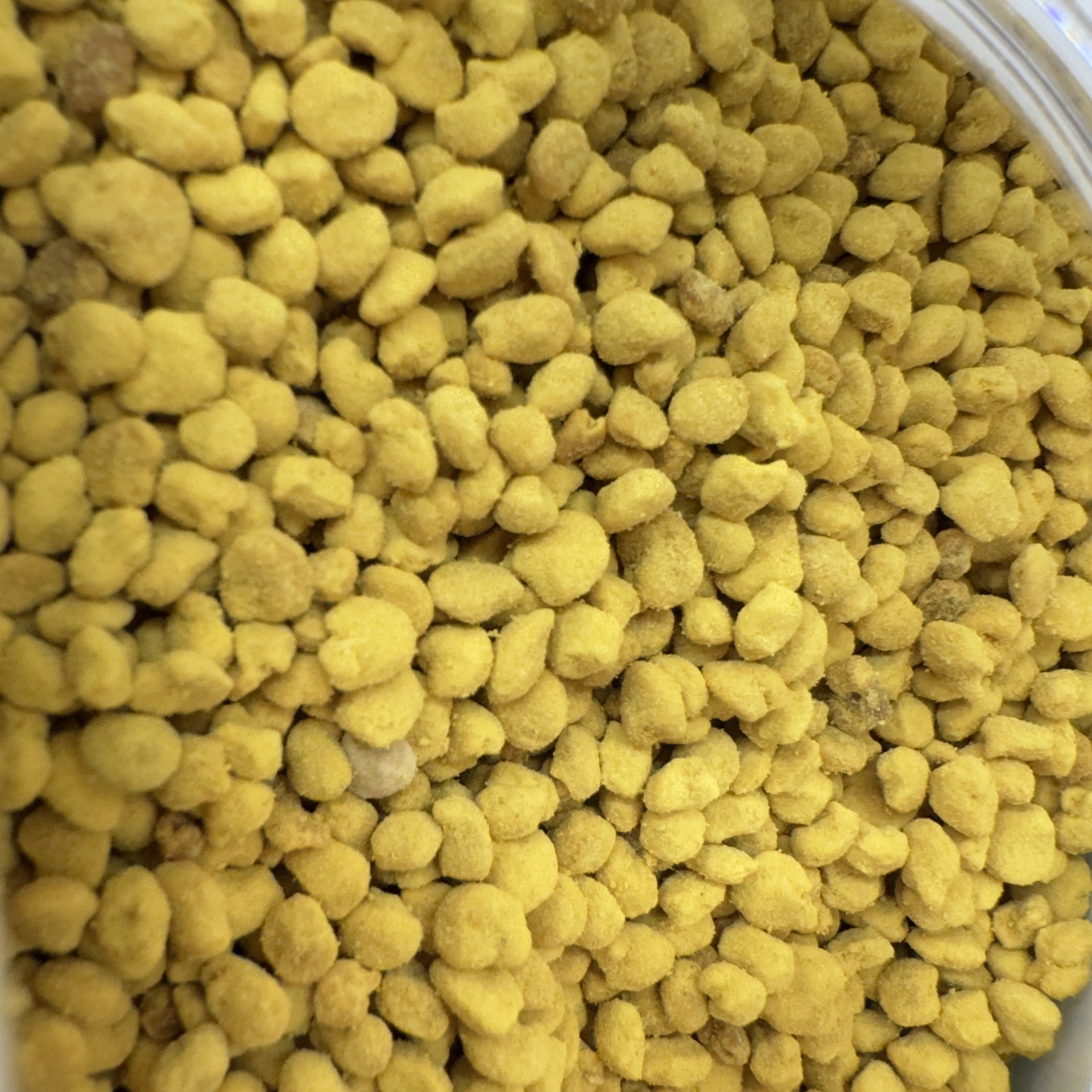 Premium Rape Flower Bee Pollen Youcai Huafen 150g Jar Ready to Eat - Image 4
