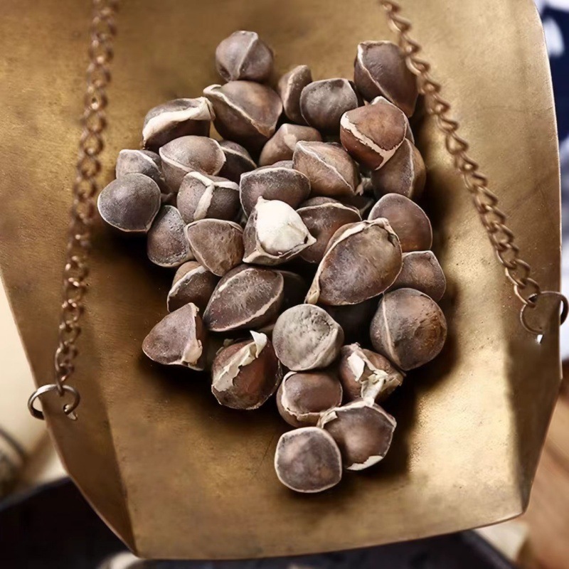 Moringa Seeds (Moringa oleifera) — Dried Food-Herb Seeds, 500g Yunnan Origin - Image 3
