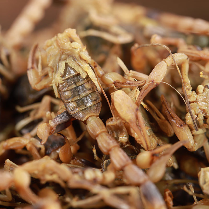 Quan Xie (Scorpion) Dried Whole Scorpion — Traditional Chinese Herb, 500g - Image 3