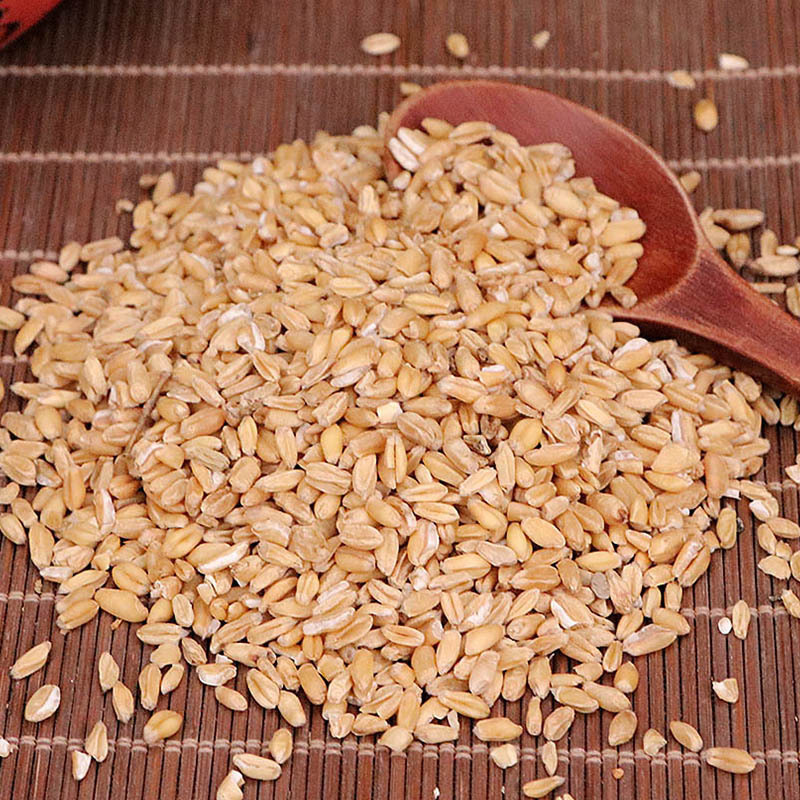 Fu Xiao Mai Dried Floating Wheat Triticum aestivum 500g Traditional Herbal Decoction Ingredient - Image 2