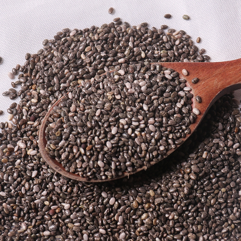 Chia Seeds (Salvia hispanica) — Premium Black Food-Herb Seeds for Daily Nourishment - Image 2