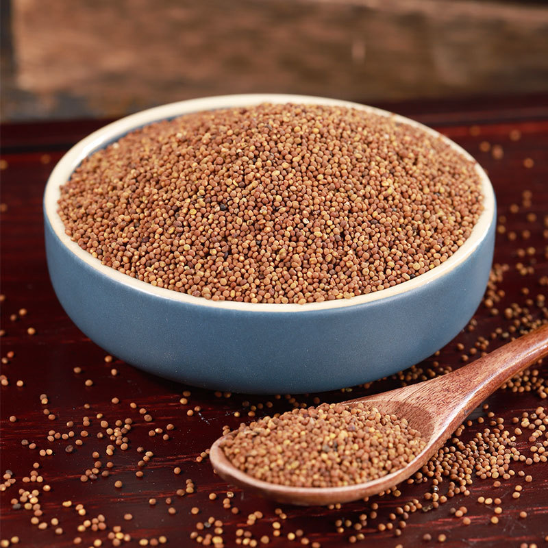 Tu Si Zi (Cuscuta chinensis) — Washed & Prepared Dodder Seed, Food Herb for Cooking - Image 2