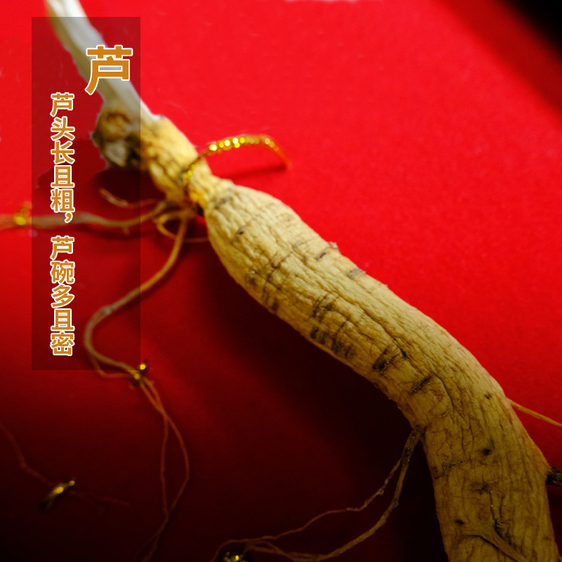 Jilin Changbai Mountain Ginseng Gift Box Dried Whole Root 10g Festival Gift - Image 3