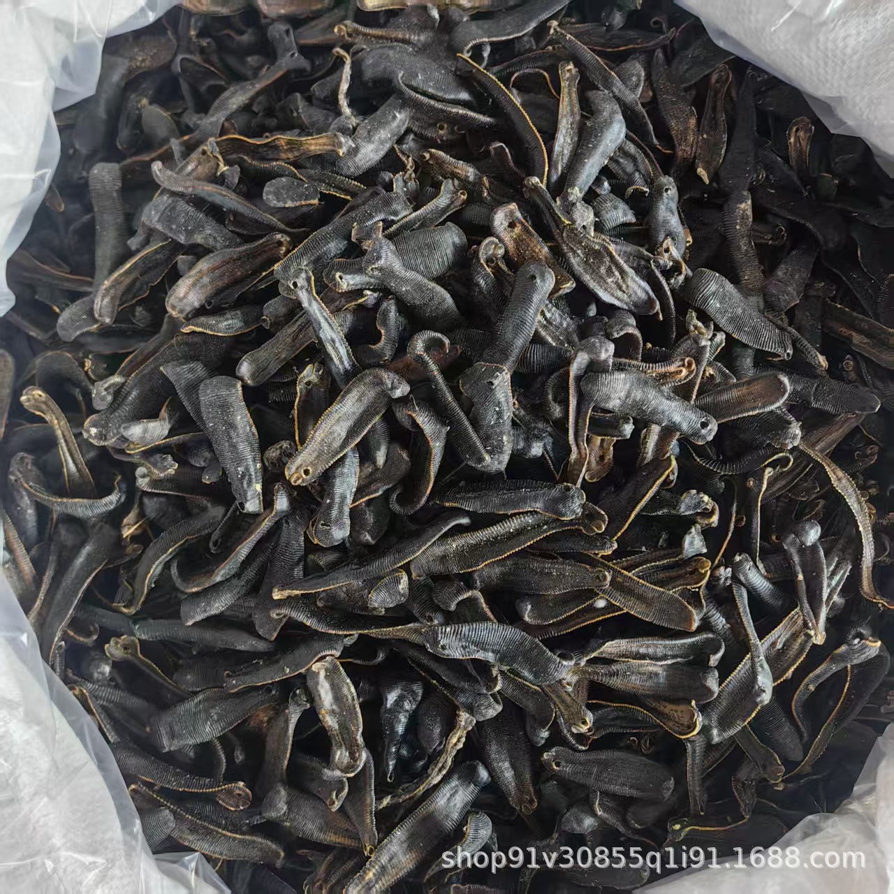 Dried Leech Shui Zhi 水蛭 Whole Dried Medicinal Herb 500g Traditional TCM Ingredient - Image 4